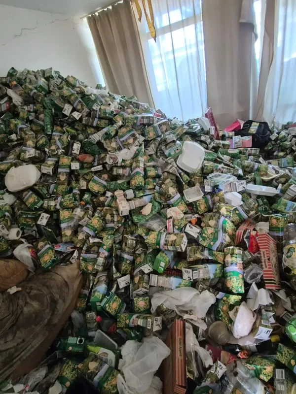 Tetra Packs wein messie entrümpelung